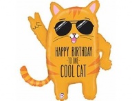   HB TO ONE COOL CAT 