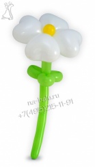 Цветочек из воздушных шаров белого цвета, размер 60см