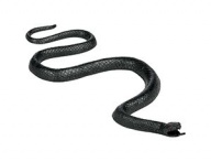 Змея черная пластик 24см