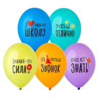 Шар с рисунком 14&quot; Я люблю Школу! 2цв