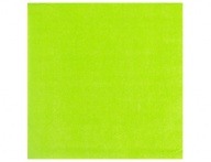 Салфетка светло-зеленая 33см 12шт