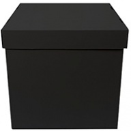 Коробка для надутых шаров 60х60х60см черная